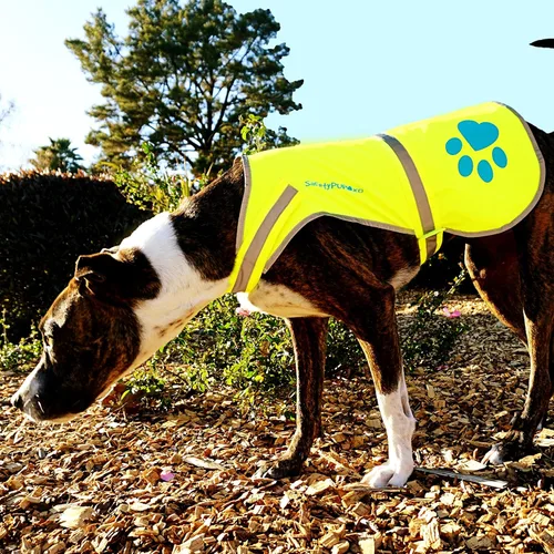Miniatura 7 de Chaleco reflectante para perro, tamaños para perros de 14 libras a 130 libras – chaleco de seguridad con reflectante para mejor visibilidad., M