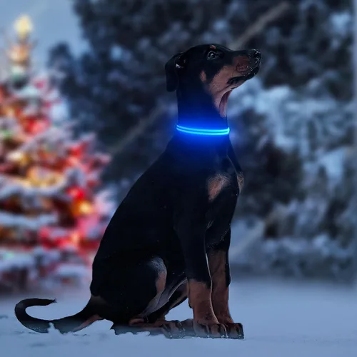 Miniatura 5 de Collar de perro con luz LED, recargable que brilla en la oscuridad, collar ajustable para perros pequeños (S, azul)