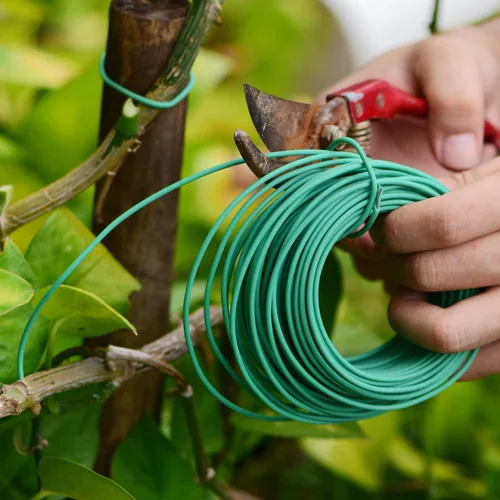 Miniatura 7 de YDSL Alambre Suave para Plantas de 66 Pies, Ataduras de Jardín Verdes con Giro para Plantas, Organización de Oficina y Hogar (Diámetro - 2.5MM)