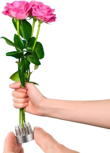 Miniatura 3 de WUWEOT Kenzan Ikebana - Paquete de 12 ranas de flores de 0.9 pulgadas, rana japonesa con pines, herramientas fijas florales plateadas, soporte