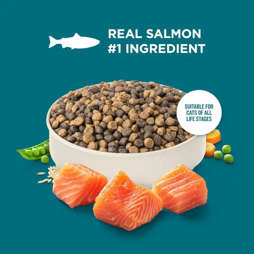 Miniatura 4 de Nutrish Comida seca para gatos con receta de salmón real y arroz integral, bolsa de 14 libras, el embalaje puede variar (Rachael Ray)