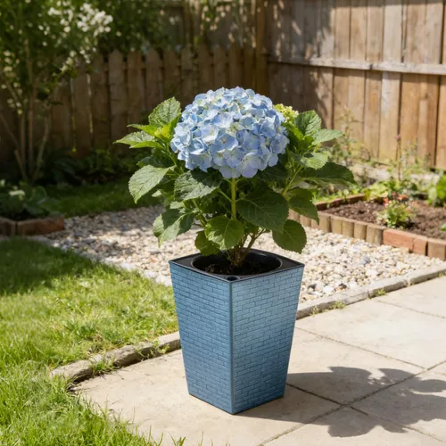Miniatura 9 de Paquete de 2 macetas de riego automático de 10.7" x 6.9" para plantas de interior, macetas violetas de riego automático, macetas de flores