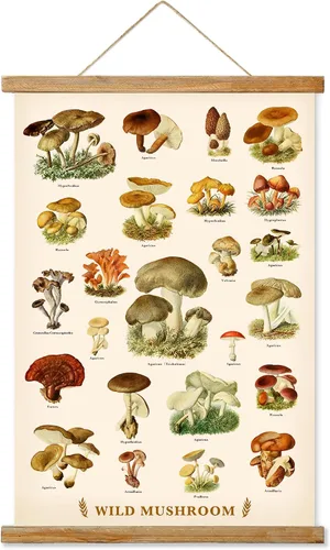 Miniatura 23 de Ovfovy Póster vintage de hongos con marco de madera, estilo retro de pintura botánica de pared, póster de tabla de referencia ilustrativa para sala