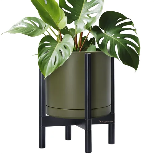 Miniatura 57 de D'vine Dev Maceta de cerámica con soporte de ébano – Maceta redonda moderna de 8 pulgadas con soporte para maceta de madera, color negro, 55-B-M-2