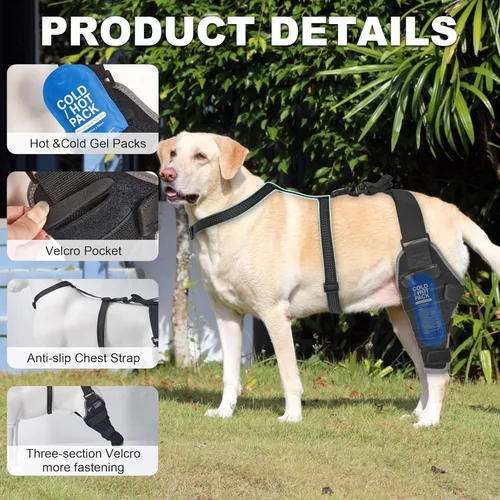 Miniatura 6 de Rodillera para perro para desgarro del ligamento cruzado anterior, soporte de compresión caliente y fría, soporte de rodilla para perros mayores