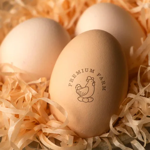 Sellos de huevos personalizados para huevos frescos, personaliza tus huevos frescos de granja con sello de huevo personalizado, fácil de usar para