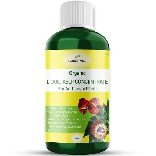 Miniatura 128 de GARDENWISE Fertilizante orgánico prémium de anturio de algas marinas – Alimento líquido para plantas de algas marinas – Potenciador de suelo rico