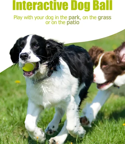 Miniatura 5 de Paquete de 15 pelotas de tenis pequeñas para perros, pelotas de mascotas fáciles de atrapar para ejercicio y buscar, pelota de tenis para perros