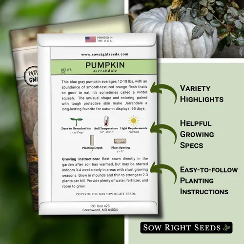Miniatura 2 de Sow Right Seeds - Semillas de calabaza Jarrahdale para plantar - Paquete de reliquia sin OMG con instrucciones para plantar y cultivar un huerto