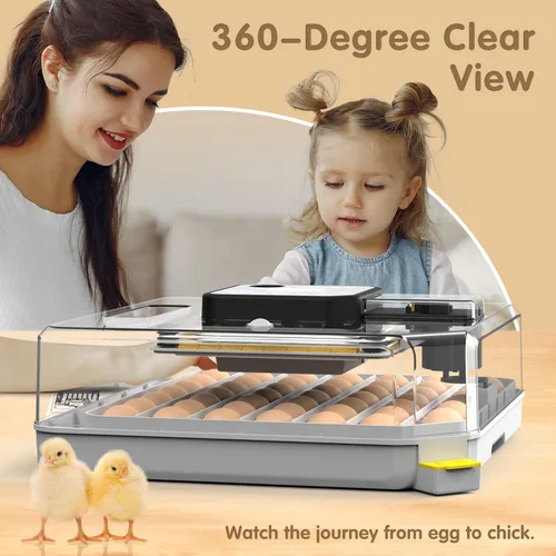 Miniatura 6 de Incubadoras para huevos para incubar huevos para granja de laboratorio con giro automático de huevos para pollo, patos, ganso, codorniz, 48 huevos