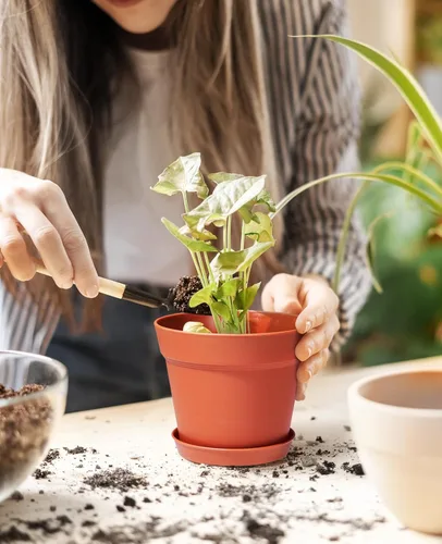 Miniatura 2 de homenote Macetas de 7.5 pulgadas para plantas, macetas de plástico para interiores con múltiples agujeros de drenaje y bandejas, para todas