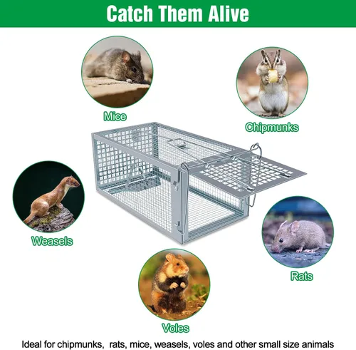Miniatura 5 de Trampa para animales vivos, jaula plegable resistente para gatos, ardillas, zorrillos, mapaches, zorros, zorros, captura y liberación de zorros