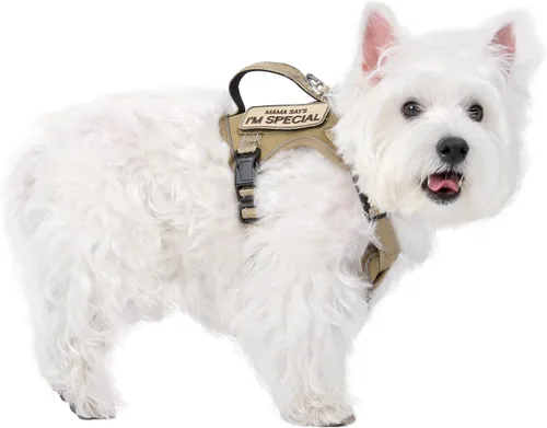 Miniatura 8 de Arnés táctico para perro, chaleco táctico para cachorros, con mango de goma, K9, ajustable y militar, chaleco para mascotas, arnés