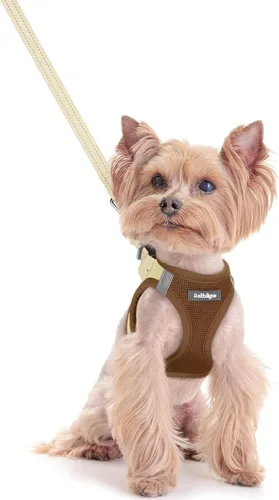 Miniatura 132 de rabbitgoo Juego de arnés para perro de tamaño pequeño y correa, chaleco ligero suave para cachorro, arnés de malla transpirable para mascotas