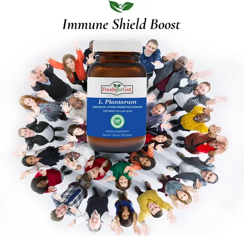 Miniatura 7 de Foods For Gut Lactobacillus Plantarum Probiotic Powder 400 mil millones de ufc Fabricado en Estados Unidos Sin aditivos Directo