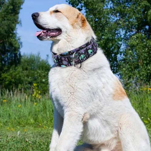 Miniatura 7 de Collar Martingale para Perro de 1.5 Pulgadas de Ancho - Diseño de Calavera Extra Resistente para Perros Grandes, Collar de Entrenamiento Ajustable