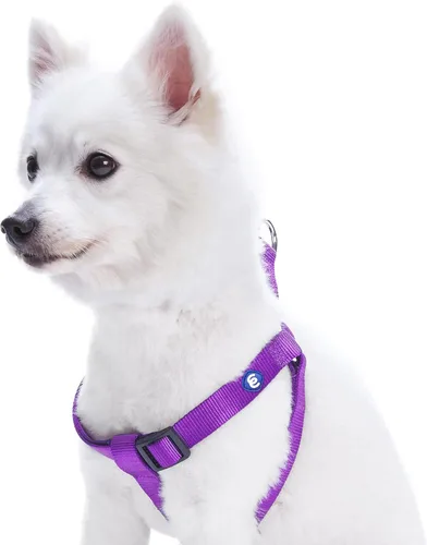 Miniatura 5 de Blueberry Pet Essentials Step-in - Arnés para perro, tamaño mediano, chaleco ajustable rosa fucsia, nailon sólido clásico para perros machos