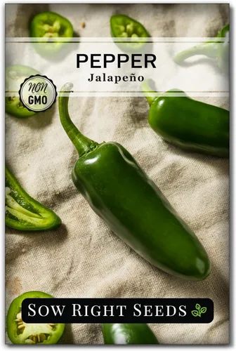 Sow Right Seeds - Semilla de pimiento jalapeño para plantar - Paquete de reliquia sin OMG con instrucciones para plantar un huerto en el hogar al
