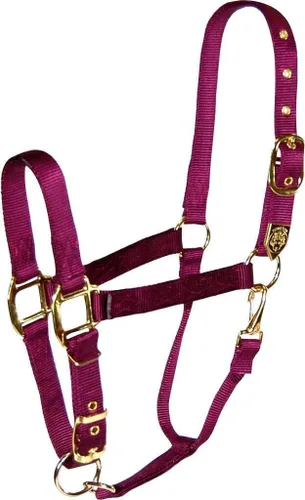 Miniatura 6 de Hamilton, Halter de 1 pulgada con barbilla ajustable, azul baya, 800-1100 libras