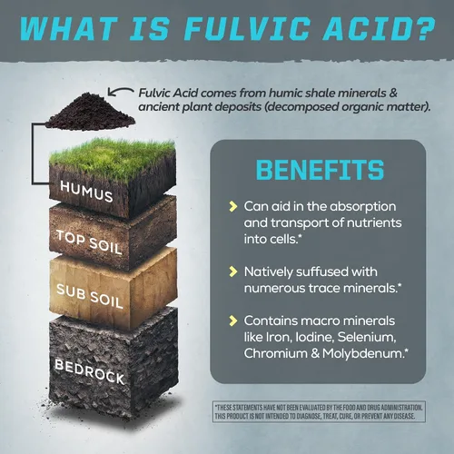 Miniatura 7 de Suplemento de gotas de minerales de ácido fúlvico, gotas de agua mineral líquida orgánica, veganas, complejo mineral líquido a base de plantas, 32