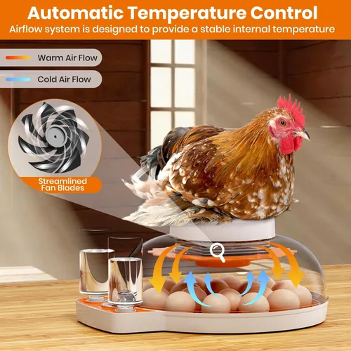 Miniatura 2 de Incubadoras para incubar huevos: capacidad de 18 huevos, girador automático de huevos, visualización de 360°, control de temperatura y humedad