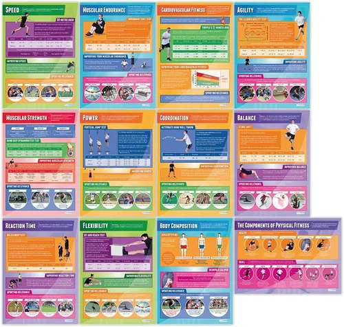 Daydream Education Componentes de los pósteres de fitness físico, juego de 12, extra grandes, 33 x 23.5 pulgadas, papel brillante, decoración de