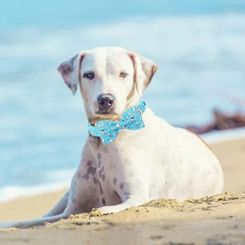 Miniatura 5 de Lionheart glory Collar de perro con lazo azul con lazo estampado de tiburón, collar para perro niño o niña, suave, duradero, ajustable, para perros