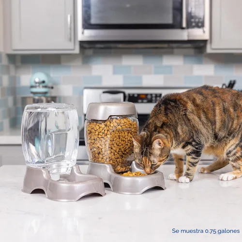 Miniatura 6 de Petmate Pet Cafe Dispensador de agua para gatos y perros, cuenco de agua extra pequeño para gatitos y cachorros, fabricado en Estados Unidos, 0.25