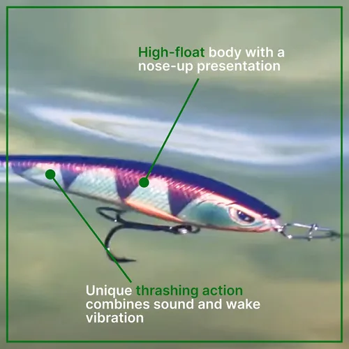 Miniatura 3 de Topwater Minnow