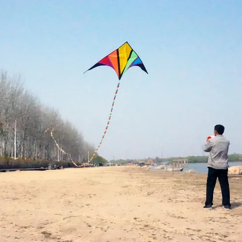 Miniatura 2 de besra 110 inch arco iris Delta Cometa con Windsock & 10 m larga cola para niños y adultos divertido Deportes al aire última intervensión para playa