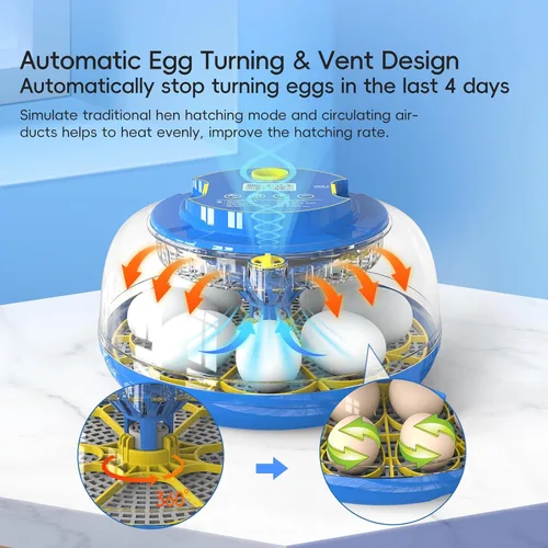 Miniatura 3 de 18 incubadoras de huevos con giro automático de huevos y control de humedad, pantalla de temperatura para incubar pollo, pato, codorniz, pájaros