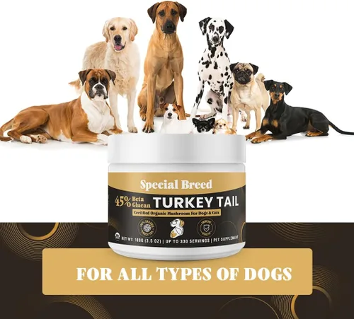 Miniatura 6 de Hongo orgánico de cola de pavo para perros y gatos, 45% beta glucano estandarizado, cuerpo fructífero extraído de agua caliente, probado por