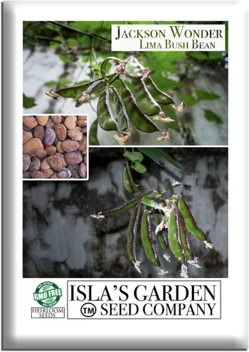 Jackson Wonder - Semillas de frijol Lima Bush para plantar, más de 50 semillas de reliquia por paquete, semillas de jardín de Isla (semillas de