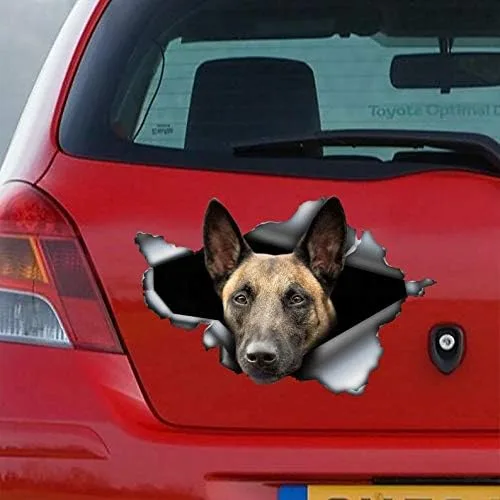 Miniatura 2 de Calcomanía de Malinois belga, calcomanía de Malinois, calcomanía de vinilo de perro pastor belga para automóviles, ventanas, paredes, nevera