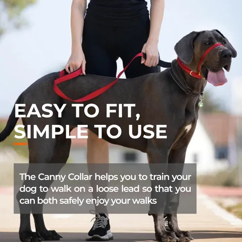 Miniatura 6 de Canny Gentle - Collar de cabeza de entrenamiento para perros sin tirones, color negro, talla 4 Kind, safe, comfortable & gentle, trains your dog