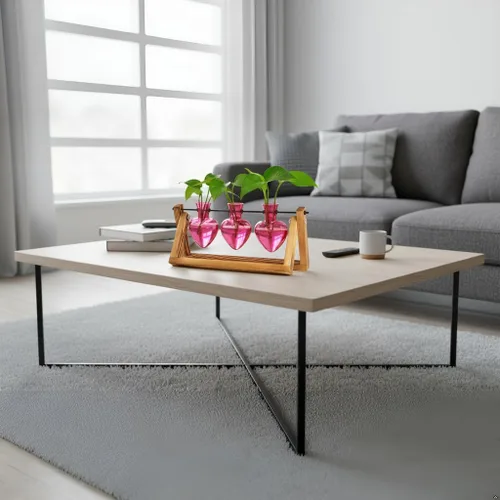 Miniatura 6 de XXXFLOWER Estaciones de propagación de terrarios de plantas, regalos únicos para mujeres, esposa, mamá, amantes de las plantas, 3 jarrones
