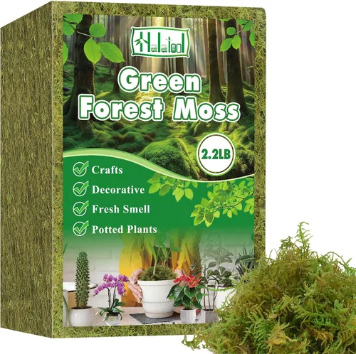 Miniatura 10 de Halatool 6OZ de musgo verde para plantas de interior, 8QT de musgo de orquídea para replantar, musgo de bosque para plantas en maceta, musgo real