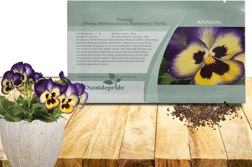 Outsidepride Semillas de pensamiento de viola de arándanos bicolor azul y amarillo para plantar, 50 unidades. Flores resistentes al frío y aptas
