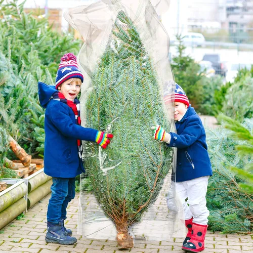 Miniatura 6 de Skylety Bolsa de almacenamiento de polietileno de Navidad, bolsa de almacenamiento para árbol de Navidad, contenedor grande transparente