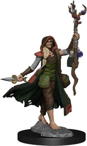 Miniatura 4 de WizKids D&D Frameworks: Mujer druida humana - Sin pintar y sin ensamblar