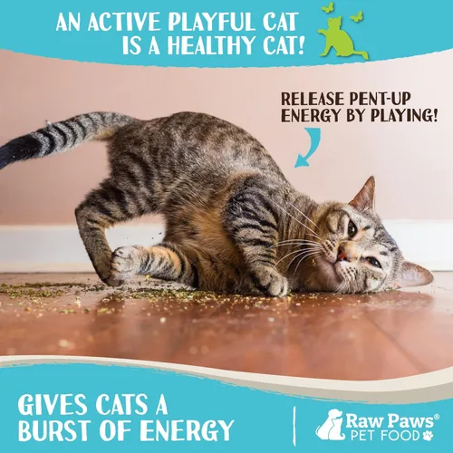 Miniatura 5 de Raw Paws Hierba Gatera Fresca para Gatos, 1-oz (2 Tazas) - Uso para Juguetes de Hierba Gatera Recargables para Gatos - Hierba Gatera Seca Natural