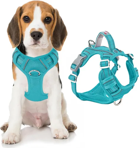 Miniatura 54 de BARKBAY Arnés para perro sin tirones con bolsillo para etiqueta de identificación, resistente, reflectante, fácil control para perros grandes