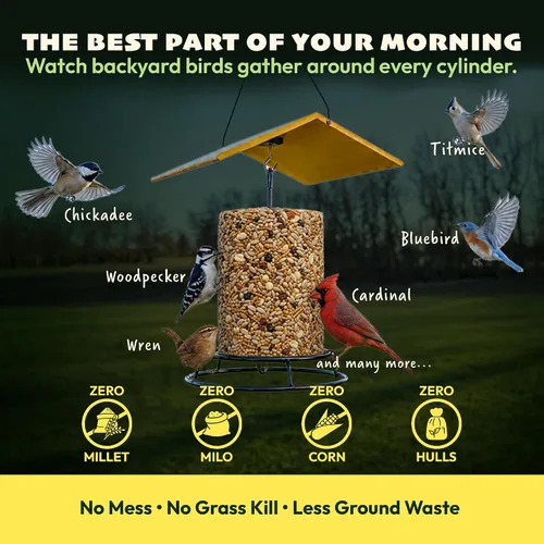 Miniatura 4 de JCs Wildlife Bugs Nuts and Berries - Cilindro grande de semillas de aves con agujero, cero relleno para comederos exteriores, llaves de pájaros