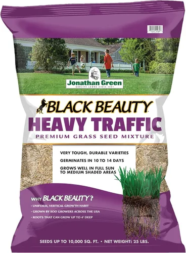 Jonathan Green 10980 Black Beauty Semilla de césped para tráfico pesado - Semilla de césped para temporada fresca (25 libras)