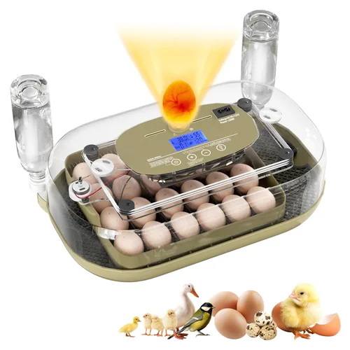 Miniatura 9 de XOTTI Incubadora para incubar huevos, 12 incubadoras de huevos con control de temperatura y humedad, girador automático, vela, visualización de 360°