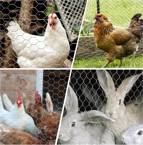Miniatura 7 de Red de alambre de pollo Malla de alambre galvanizada Cercado hexagonal para jardín de aves de corral que cerca la barrera 6FTx50FT