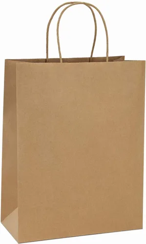 BagDream Bolsas de compras Kraft de 10 x 5 x 13 pulgadas, 100 bolsas de papel marrón con asas a granel, para regalos, mercancía, venta al por menor,