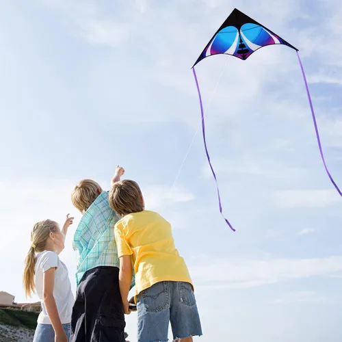 Miniatura 3 de HONBO Cometa Delta grande para niños y adultos, extremadamente fácil de volar para viajes a la playa, línea de cuerda incluida, con cola colorida