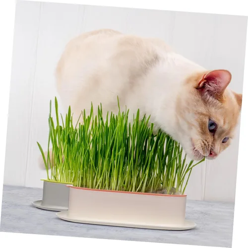 Miniatura 5 de IMIKEYA Caja de plantación hidropónica para gatos de interior, bandeja de cultivo de plástico, maceta para plantas de vivero, contenedores pequeños