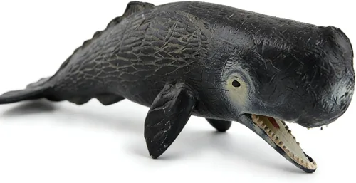 Miniatura 21 de SmilerSmile Juguetes educativos de animales marinos sólidos, simulación de tiburón oceánico, criatura marina, juguete para niños pequeños